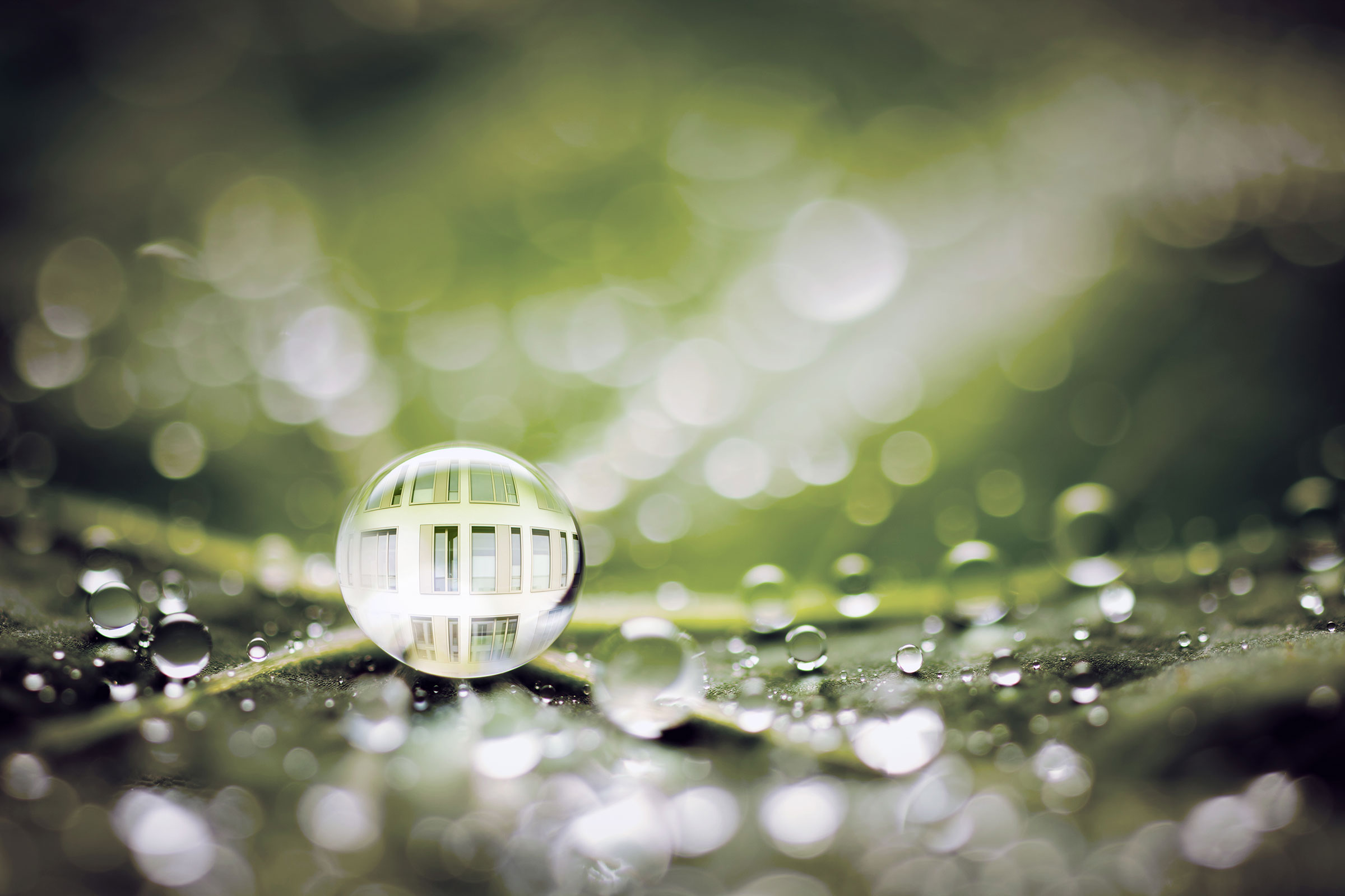 Bionikka Stolla: Vesipisarat vihreällä lehdellä.