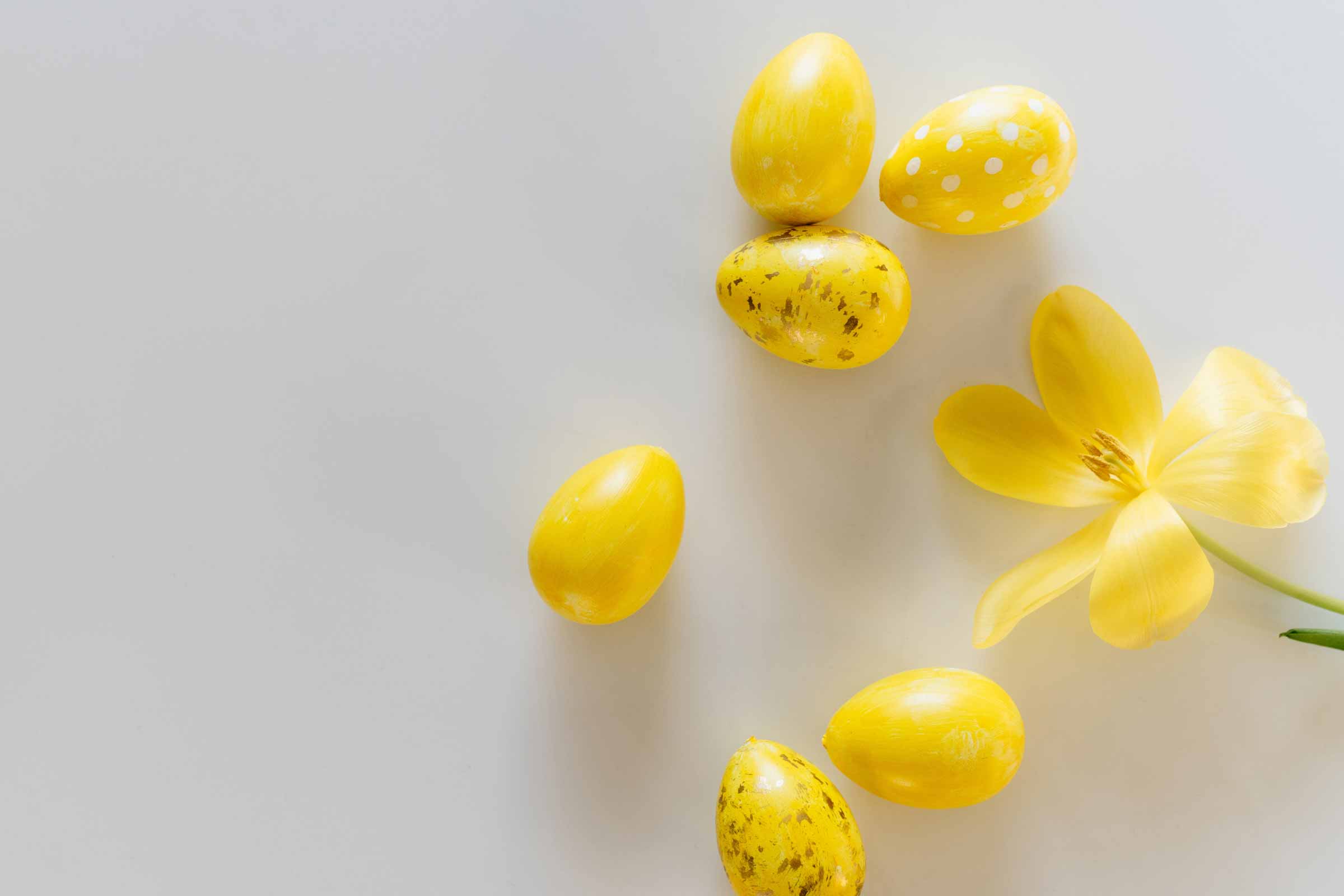 Keltaisia munia ja keltainen kukka