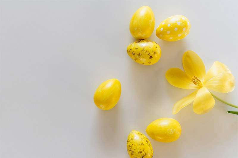 Keltaisia munia ja keltainen kukka