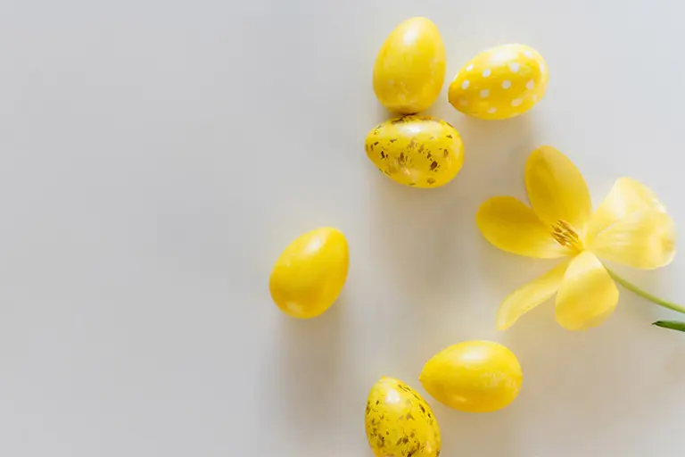 Keltaisia munia ja keltainen kukka