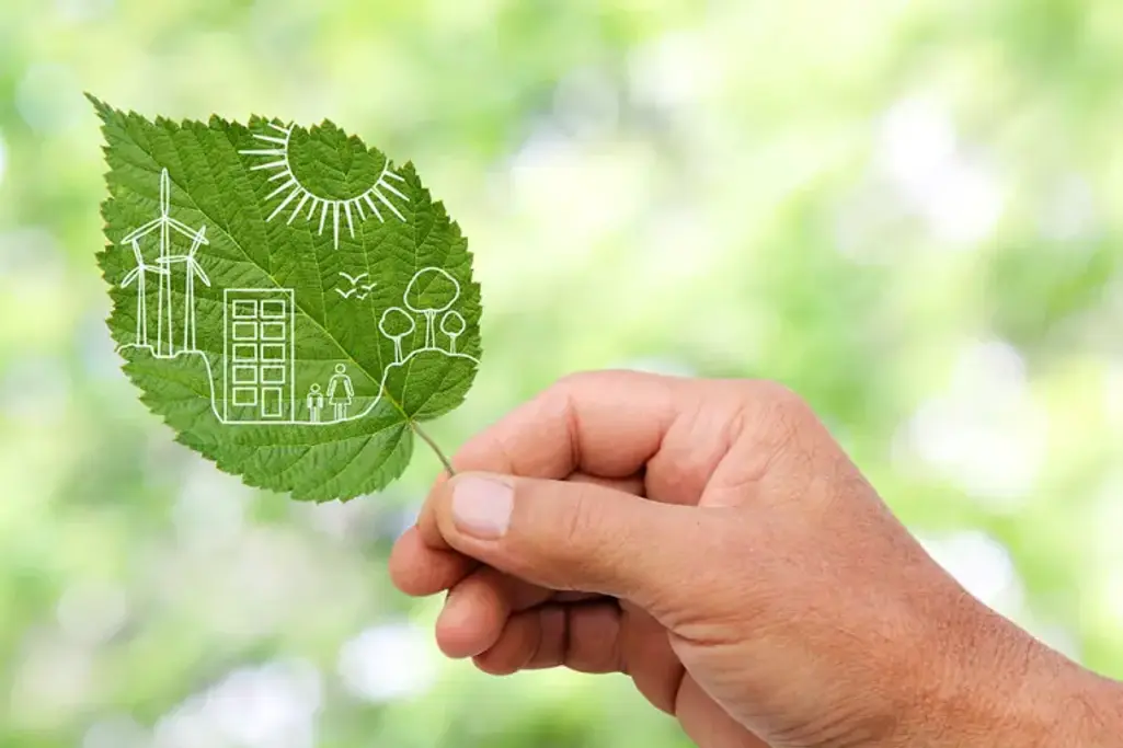 Käsi pitelee vihreää lehteä.